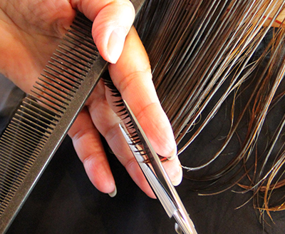 SPLIT ENDS IMG 3311